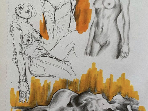anatomy study
