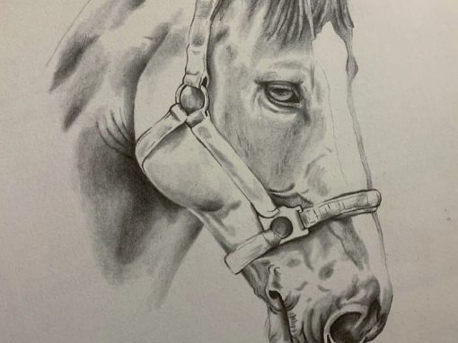 horse commission